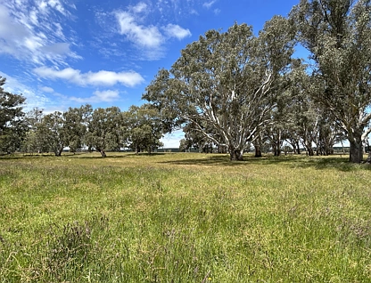 Lot/4 Sullivans Rd, Dartmoor, Portland and Glenelg Shire, 0房, 0浴, Lifestyle Property
