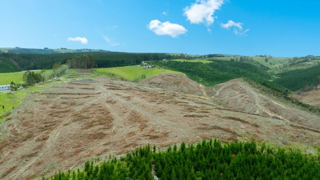 Table Hill  Outstanding Opportunity!