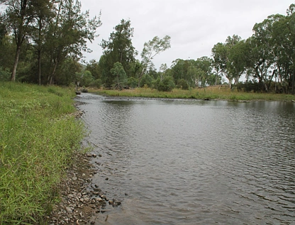 Proposed Lots 21 and 23 Bruxner Way, Tenterfield, NSW 2372, 0房, 0浴, Lifestyle Property