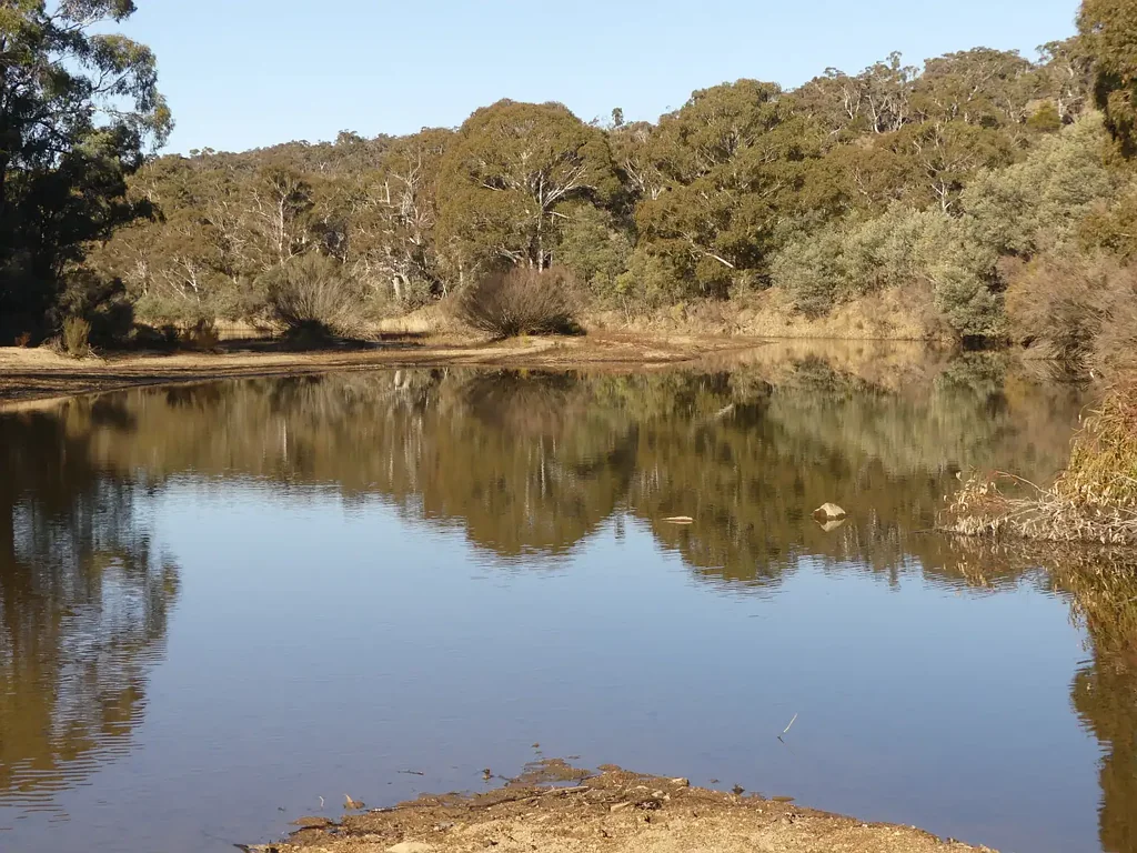 Numeralla AUCTION - 11th SEPTEMBER 11:00am - COOMA EX SERVICES CLUB