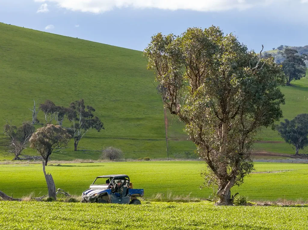Boorowa Planted and Ready for Either Lifestyle or Agriculture or Both!