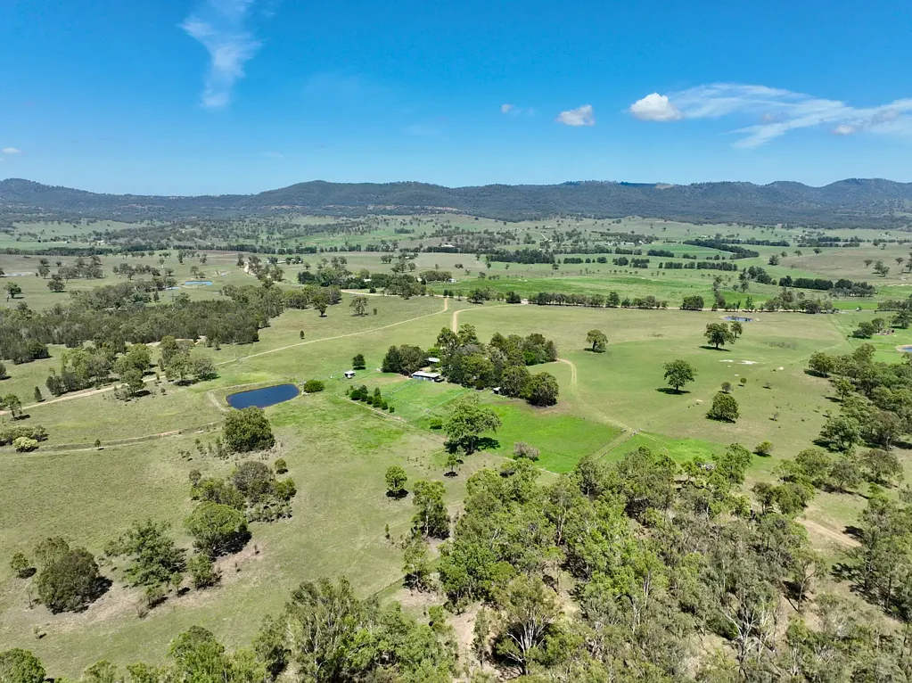 Scone  Standout Rural Lifestyle Property "Nullegai"