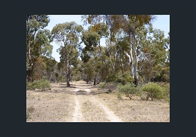 360 Old racecourse, Dimboola, VIC 3414, 0房, 0浴, Section