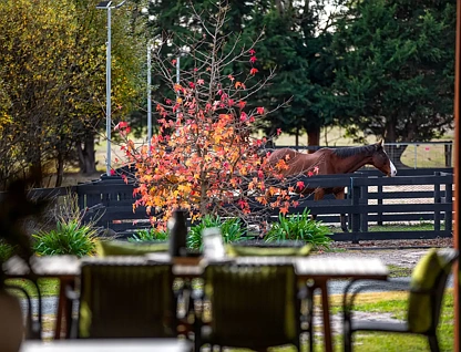 615 Baxter-Tooradin Road, Pearcedale, VIC 3912, 5部屋, 3バスルーム, Lifestyle Section