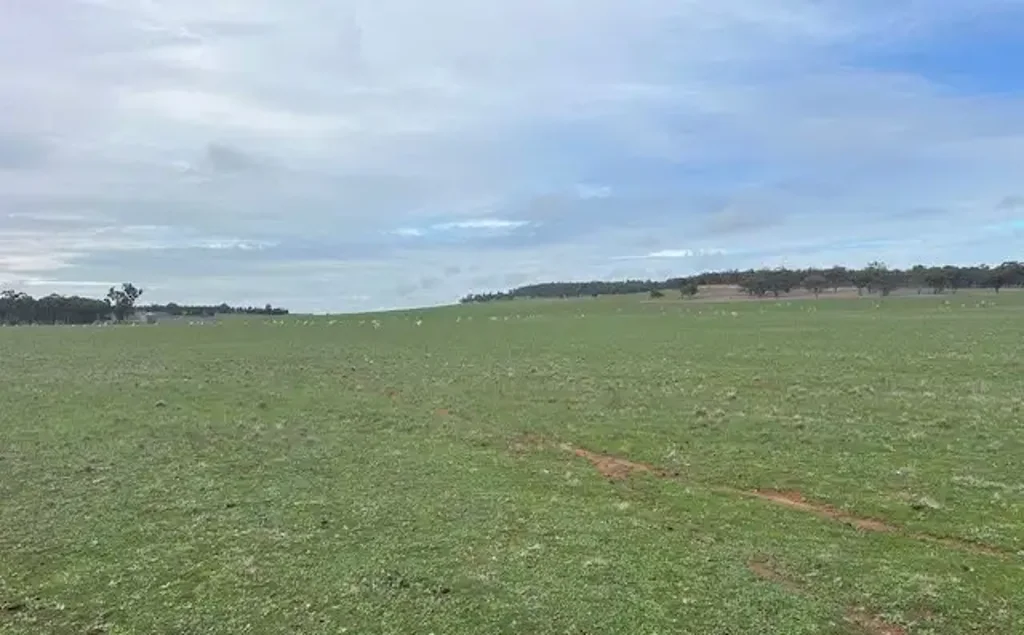 Corbie Hill Dry Area Farm