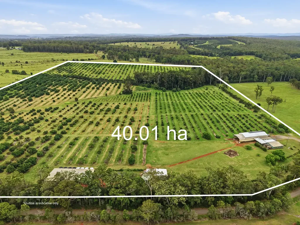 Cherry Creek Lifestyle Farm, Business Opportunity & Endless Possibilities – Blackbutt, QLD