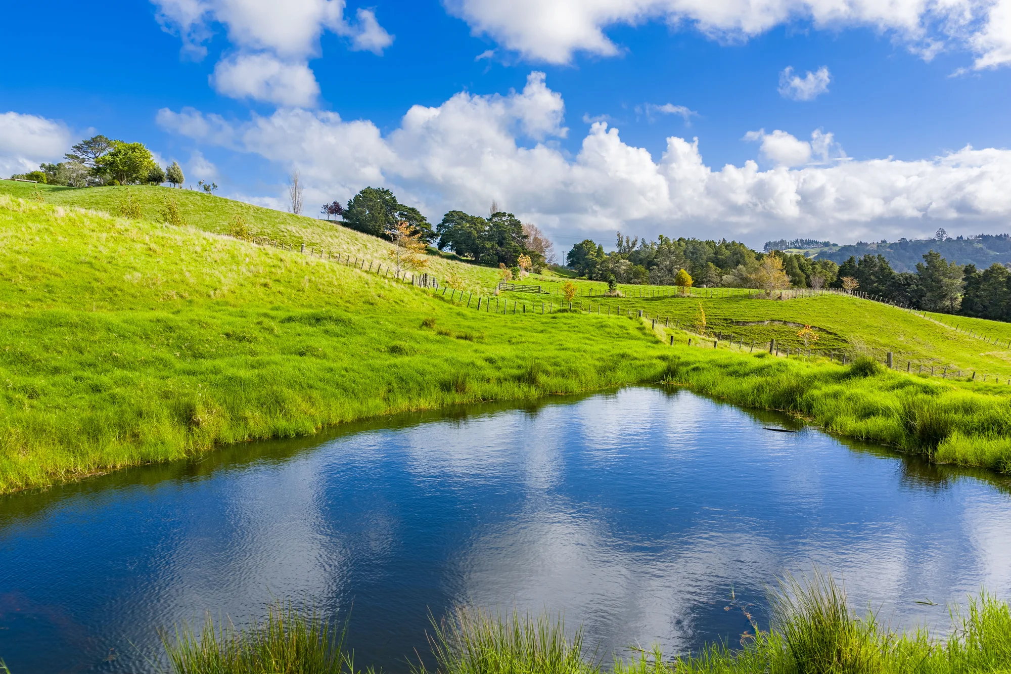 Paparoa  Over 16 Acres of Opportunity in Paparoa