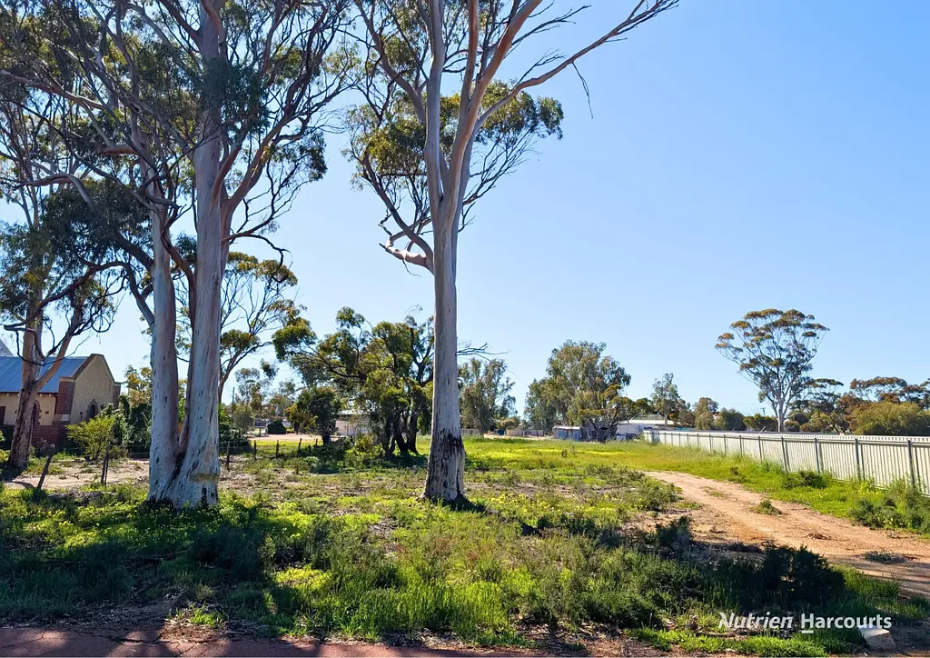 8 McLaren Street, Tammin, WA 6409