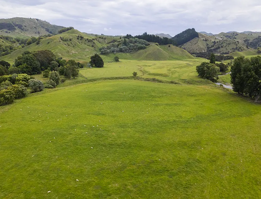 Mahaki Settlement Road, Te Karaka, Gisborne, 0 ਕਮਰੇ, 0 ਬਾਥਰੂਮ, Bare Land