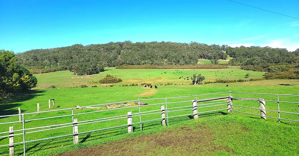 Tingledale Prime Rural Land at Lot 21 Hazelvale Road, Tingledale