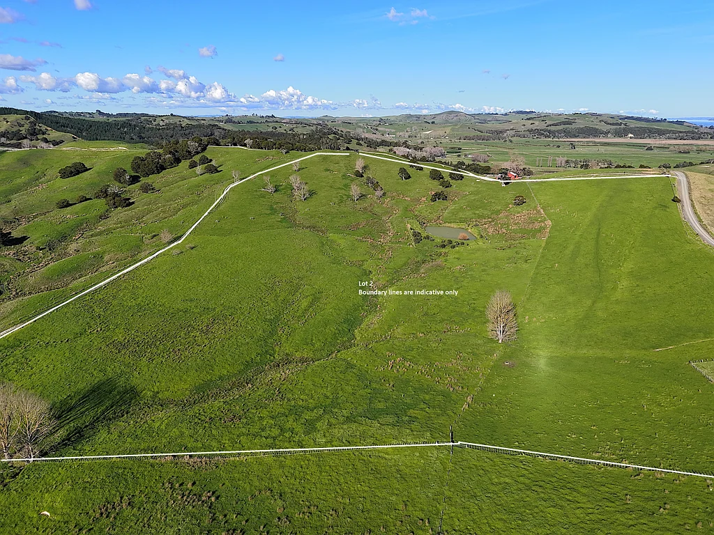 Ruawai Blank Canvas With 14-Hectares