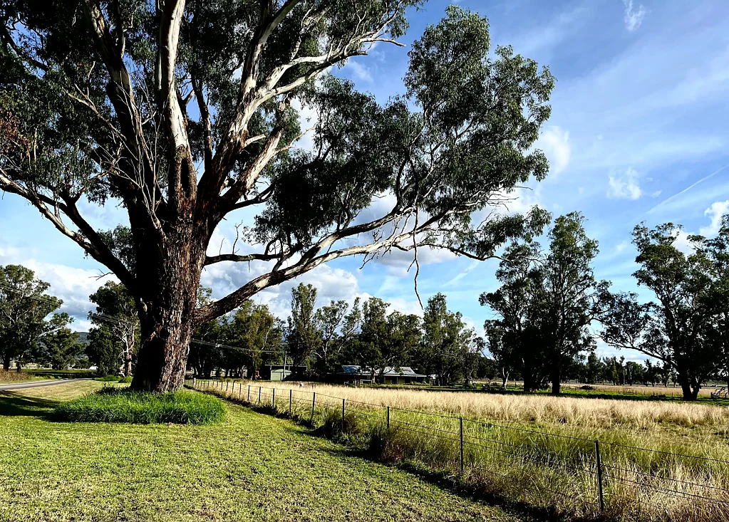Quirindi Address On Request : Picturesque Rural Lifestyle on 34.84 Acres / 78 Meg Water