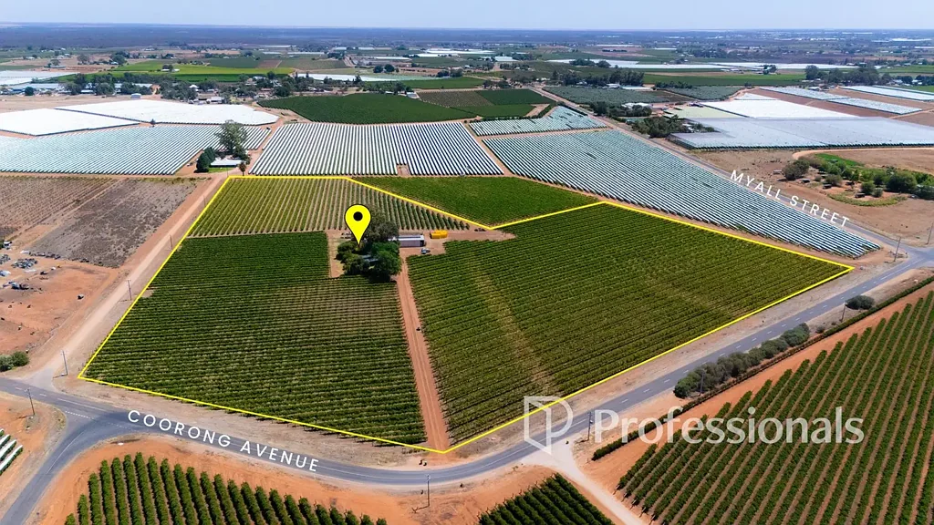 Red Cliffs Established Dried Fruit Holding on 21 Acres