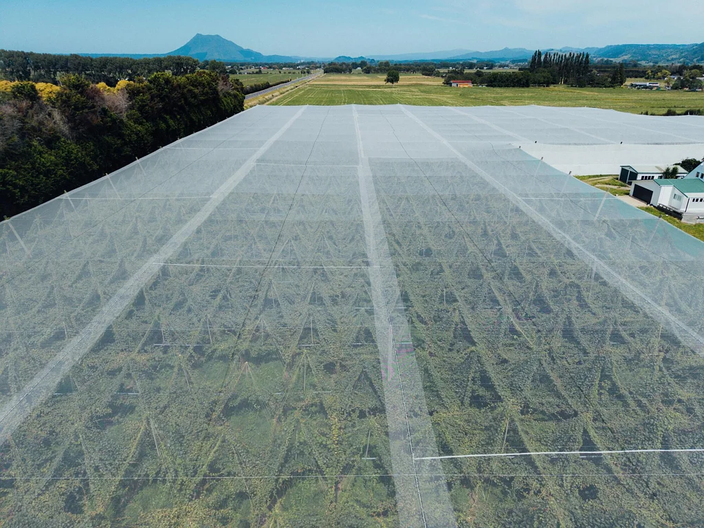 Otakiri 3 ca/ha R19 kiwifruit orchard with upside!