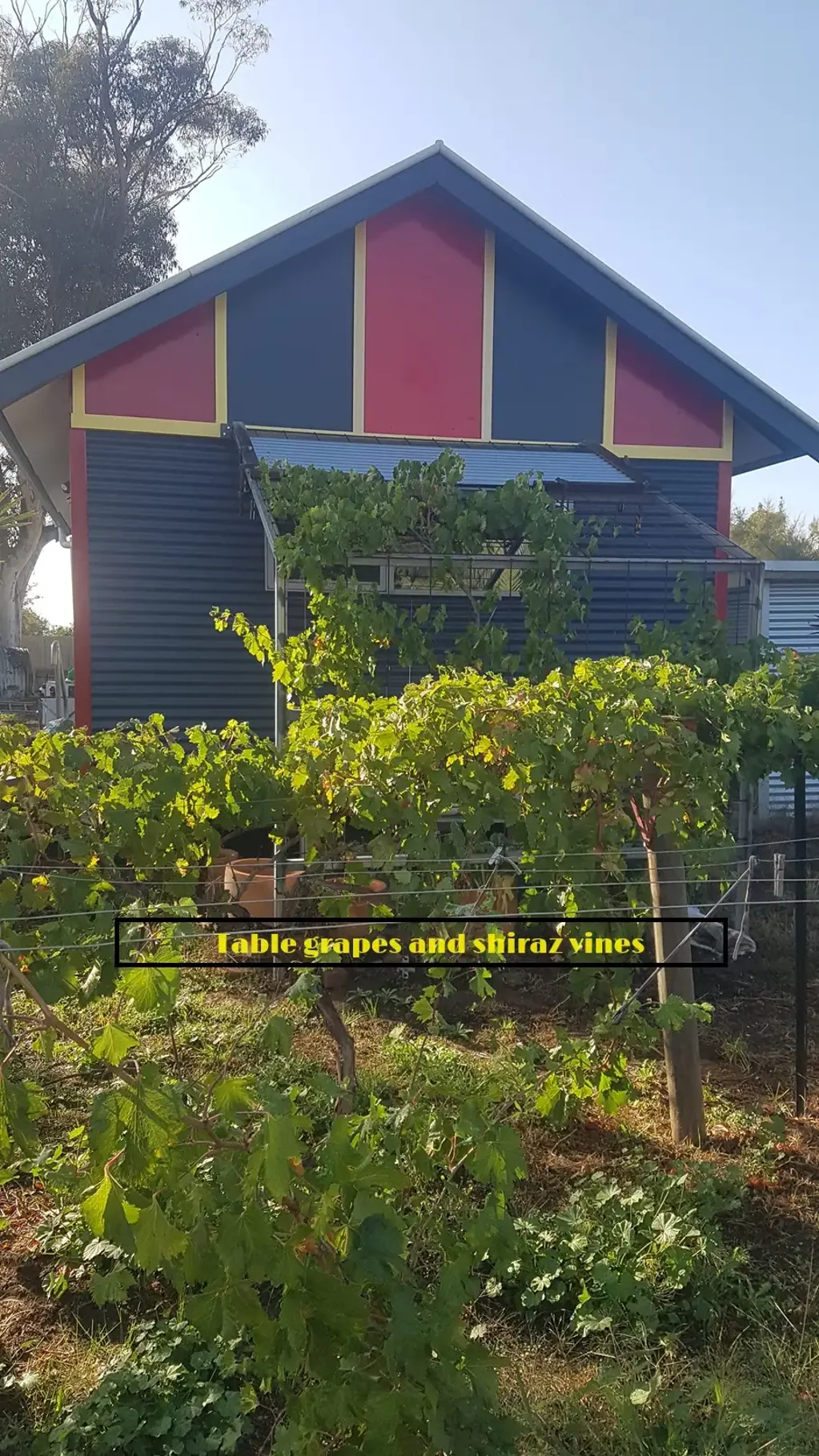10 Sherwood St, Birchip, VIC 3483