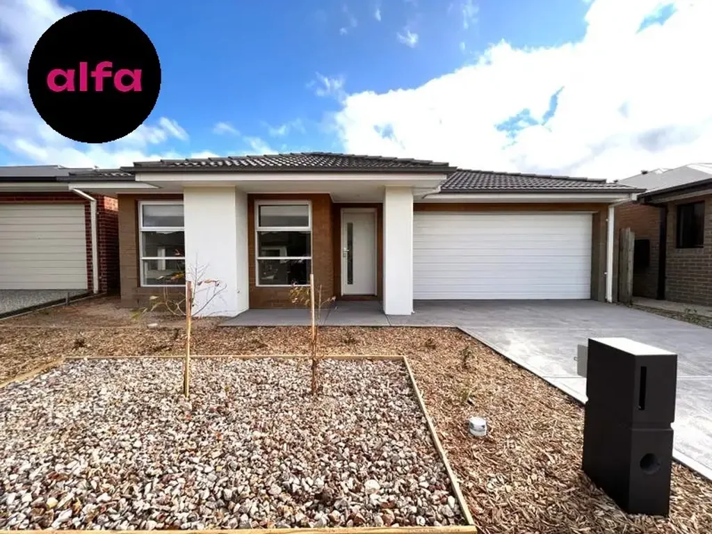 Modern family home in Thornhill Park
