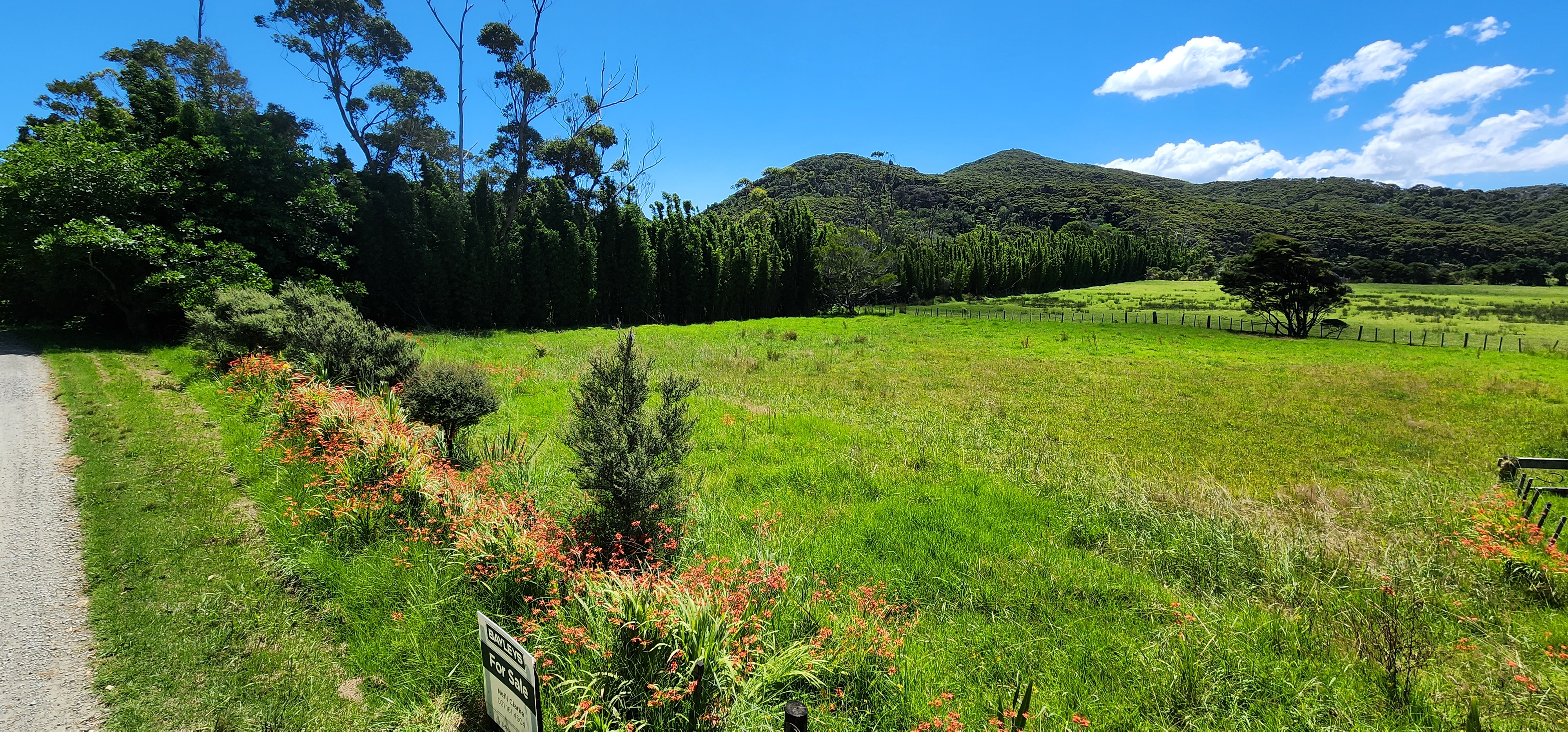 54 Mason Road, Great Barrier Island (Aotea Island), Auckland, 0 chambres, 0 salles de bain, Lifestyle Section