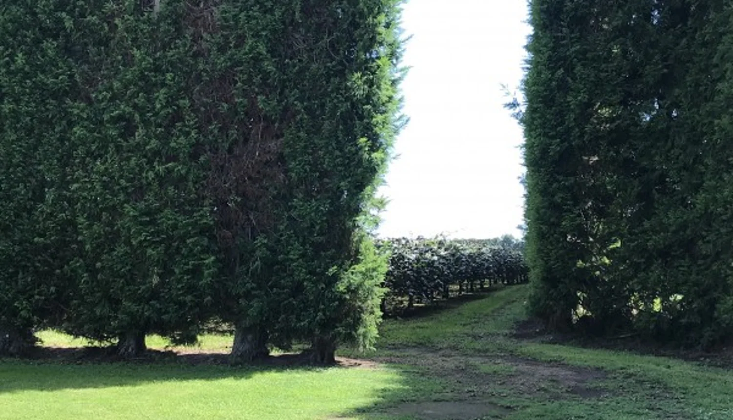 117 Maketu Road, Paengaroa, Western Bay Of Plenty, 0 Bedrooms, 1 Bathrooms