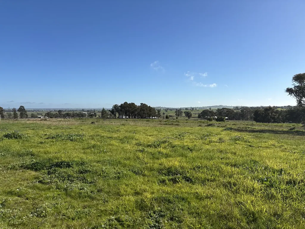 Parkes 4房  Instant Appeal -  Perfect Location