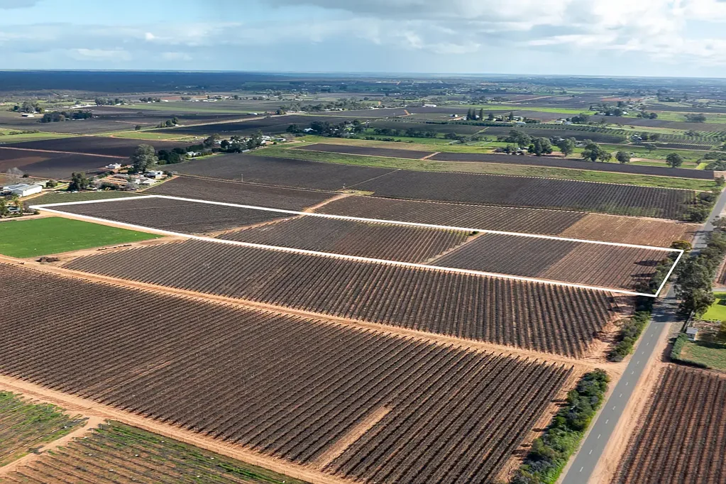 Barmera Prime Riverland Horticultural Land Holding