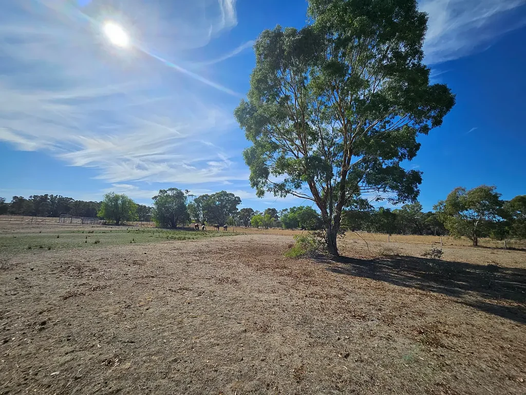 12 Burgoyne Street, Huntly, VIC 3551
