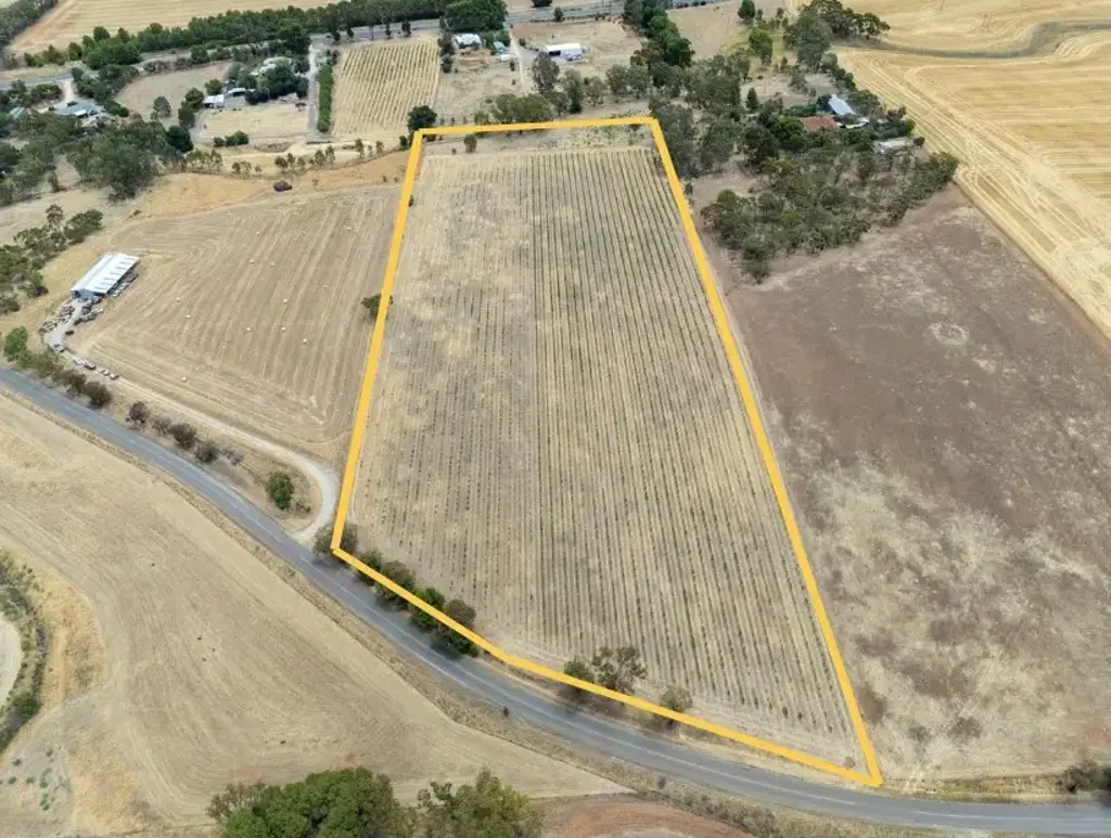 Auburn Prime Rural Holding in the Heart of Wine Country