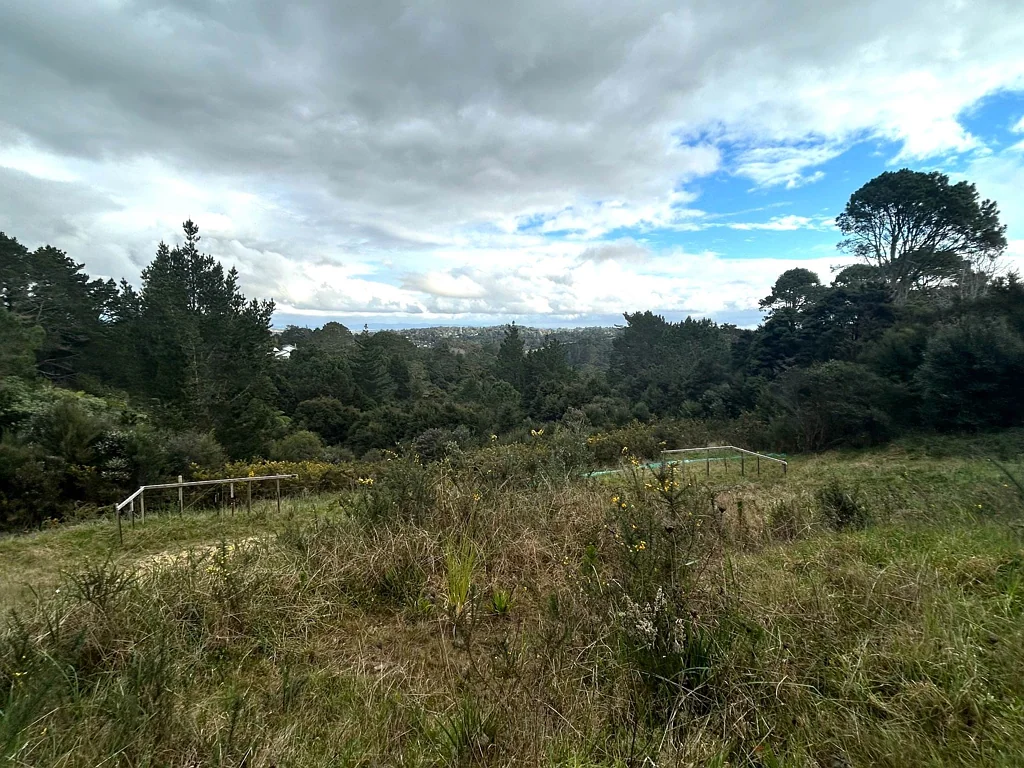 Albany Heights Albany 田园诗般的2.75英亩画卷，可搬迁！ Albany iIyllic 2.75 Acre Canvas, Relocatable!