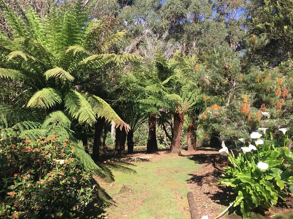 Penguin 2Kwarto Nature and Native Animal Lovers! Private Retreat 14 acres of Serenity, Peace and Seclusion nestled in the Rainforest. Minutes drive to Penguin