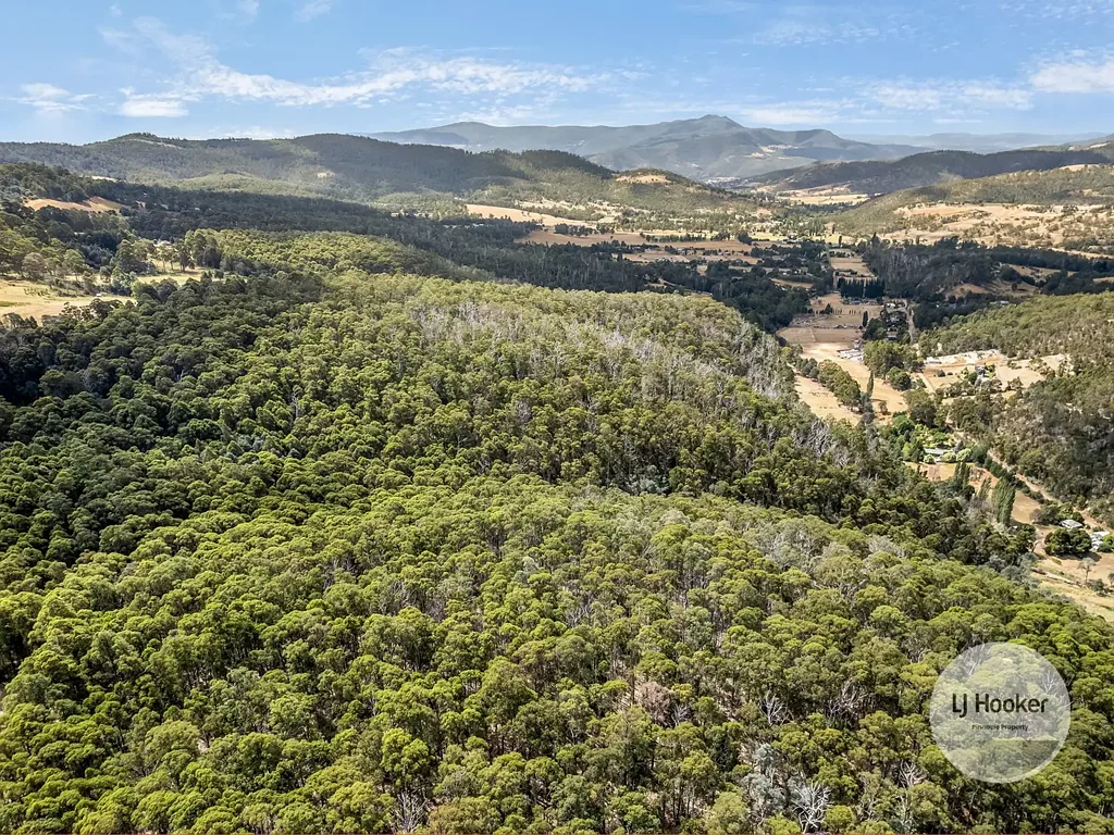(PID: 5804 White Timber Road, Lachlan, TAS 7140