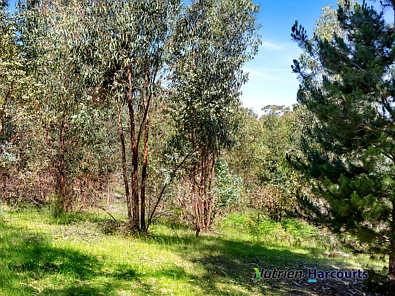 Address Withheld, Yea, VIC 3717, 0 Schlafzimmer, 0 Badezimmer, Lifestyle Property