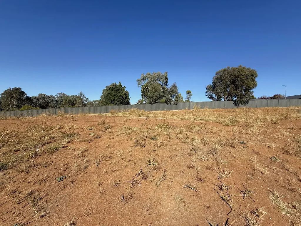 16 Armstrong Place, Young, NSW 2594