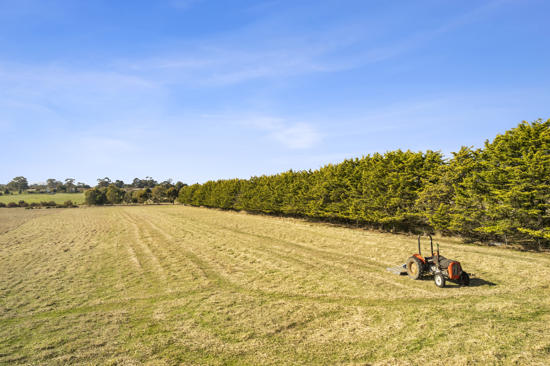 95 ROSES LANE, CLUNES VIC 3370, 0 habitaciones, 0 baños, Section