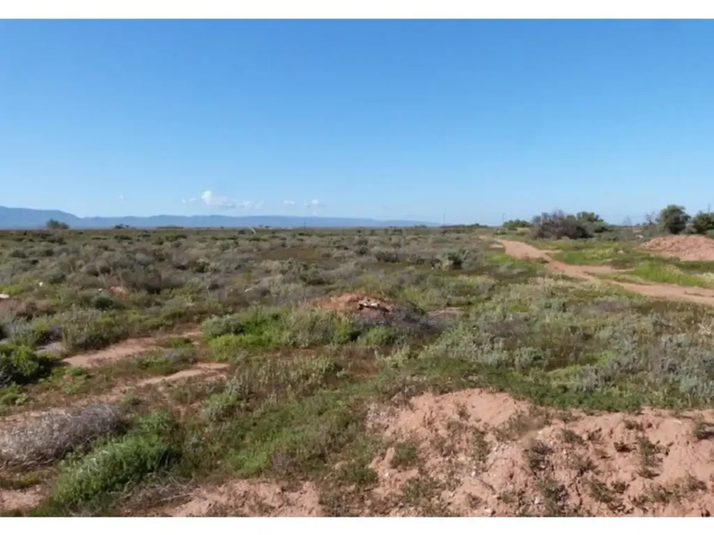 LOT 33/6 Maule Avenue, Stirling North, SA 5710