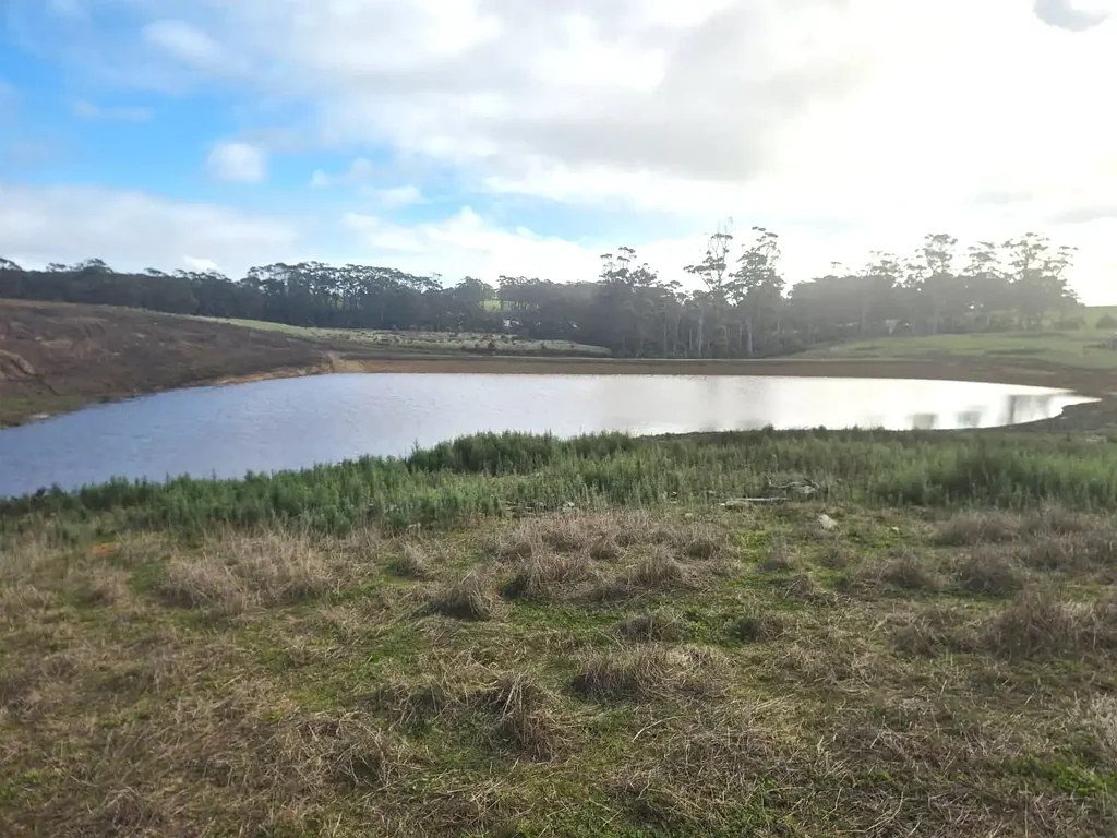 Scopus  Prime Dairy Runoff Block - 100 Acres - Scopus, Tasmania