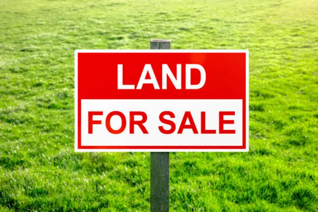 Thornhill Park 🏡 Premium Nomination Sale –  Thornhill Park – 313sqm Land