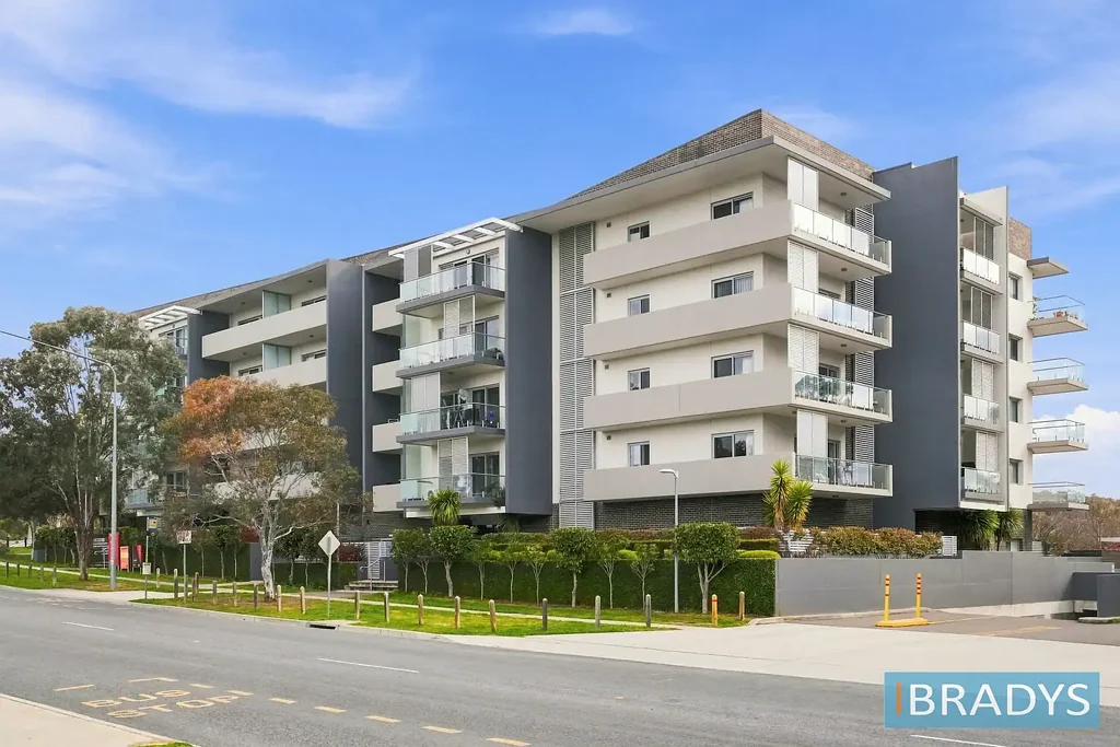 Freshly painted and carpeted 1 Bedroom + Study Apartment with Lovely Treetop Views