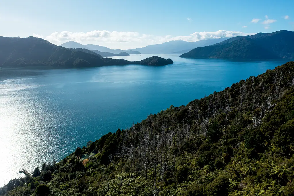 Kenepuru Sound North West Facing In North West Bay