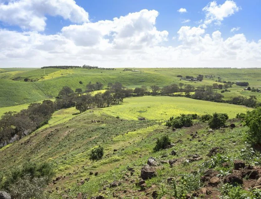 63 Old Mill Road, Bannockburn, Geelong, 0 રૂમ, 0 બાથરૂમ, Lifestyle Property