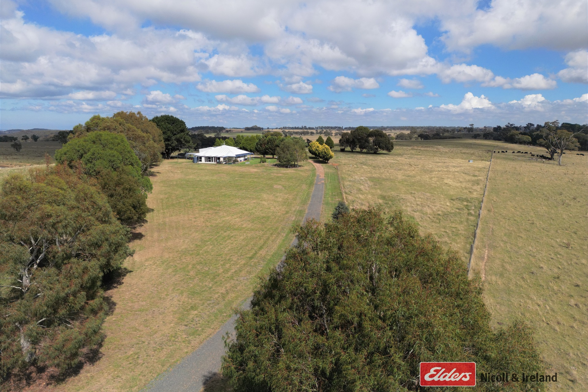 GANG GANG 100 PITLOCHRY RD, NEVILLE NSW 2799, 0 rūma, 0 rūma horoi, Lifestyle Property