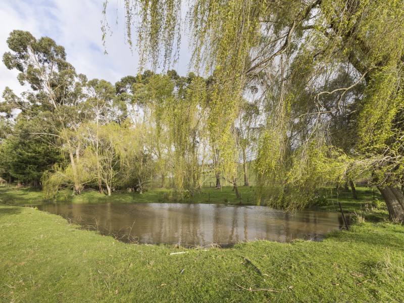 259 Kahuterawa Road, Linton, Palmerston North, 4 Bedrooms, 0 Bathrooms