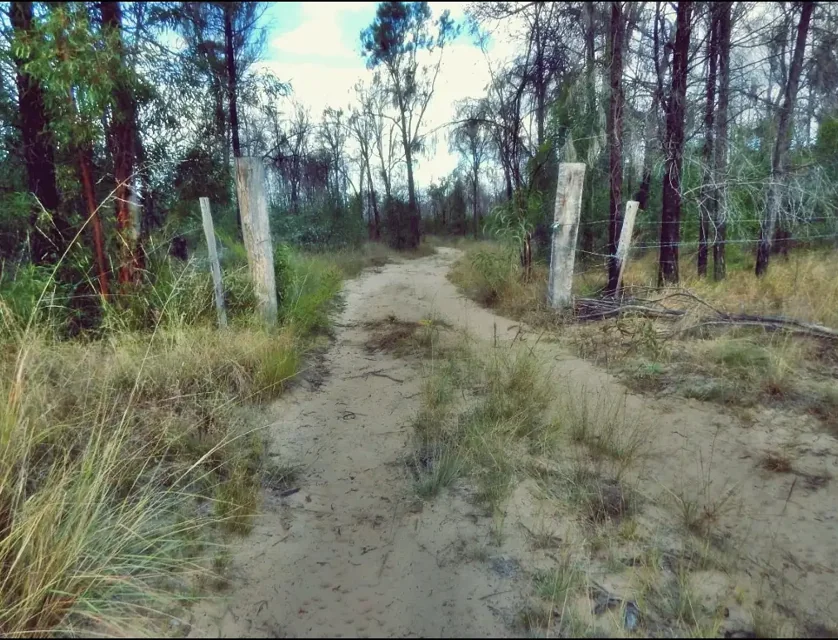 LOT 99/22 Violet Road, Millmerran Downs, QLD 4357, 0房, 0浴, 乡村住宅