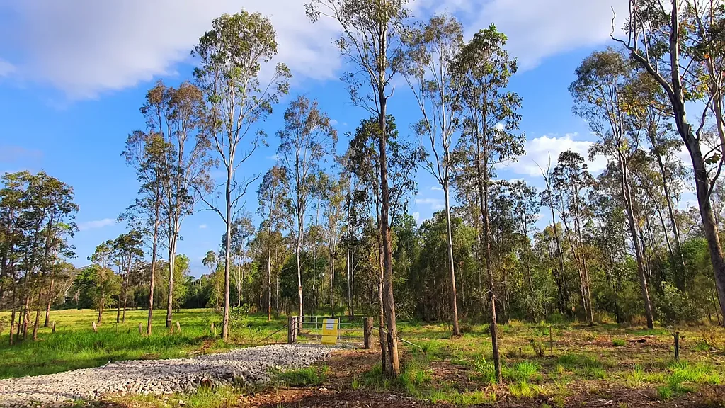 Lot 93 Bailey Street, Rappville, NSW 2469