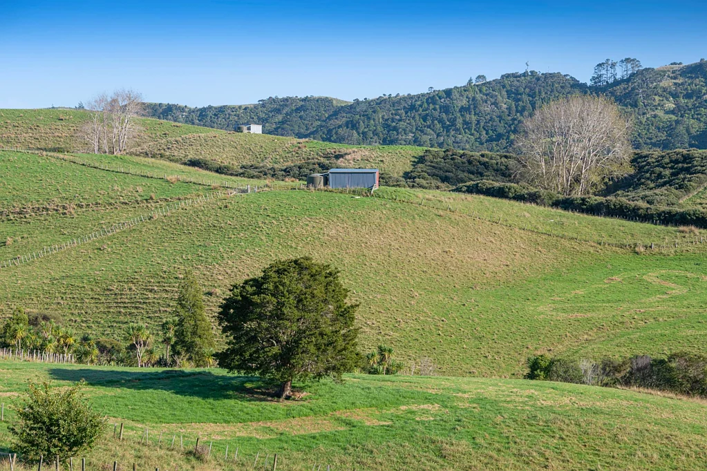 Makarau Versatile Lifestyle Opportunity