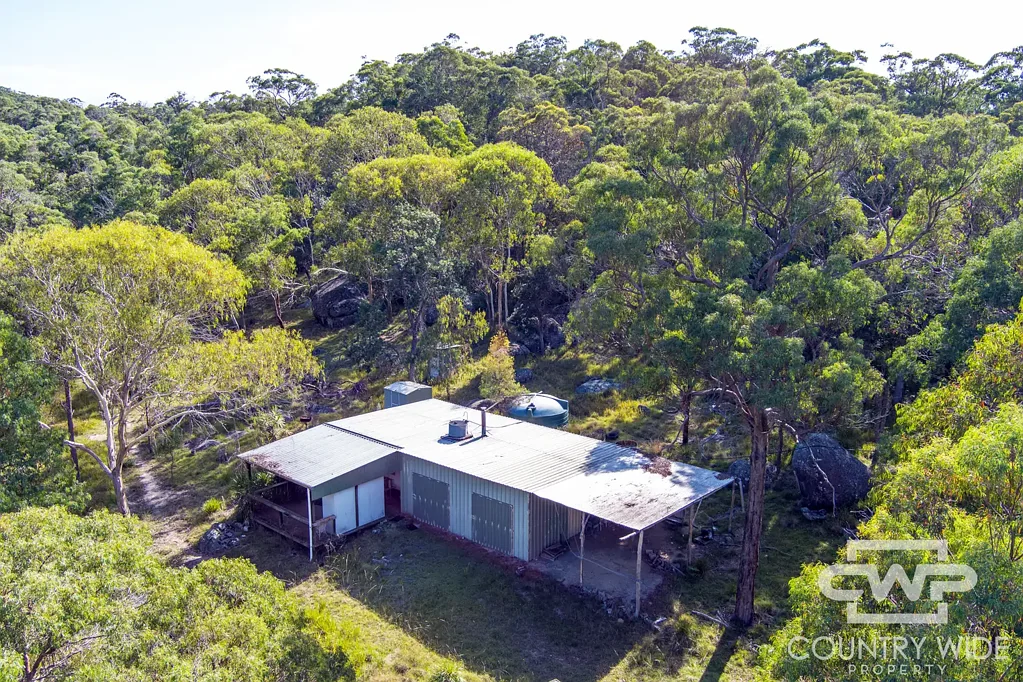 Glen Innes Wildlife Haven - A Naturalist's Dream