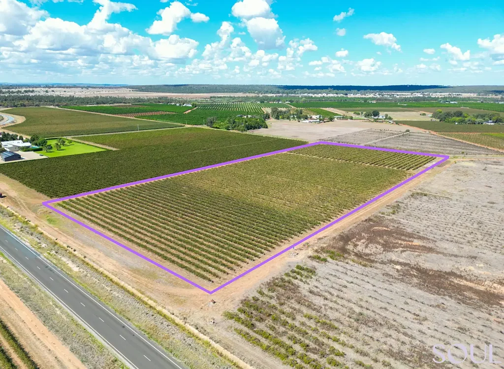 LOT 183/296 McCarthy Road, Lake Wyangan, NSW 2680