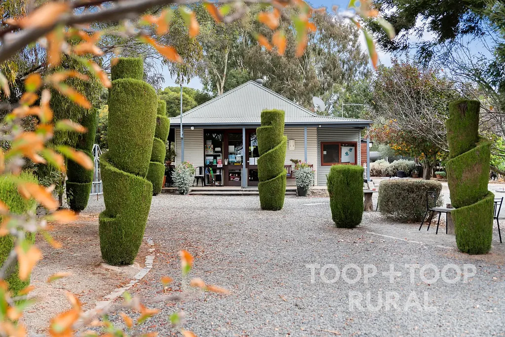 Mintaro Iconic Tourism and Lifestyle Destination - Mintaro Maze