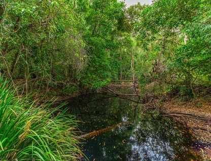 Lot 1 Pacific Highway, Mororo, North Coast, 0 Schlafzimmer, 0 Badezimmer, Lifestyle Property
