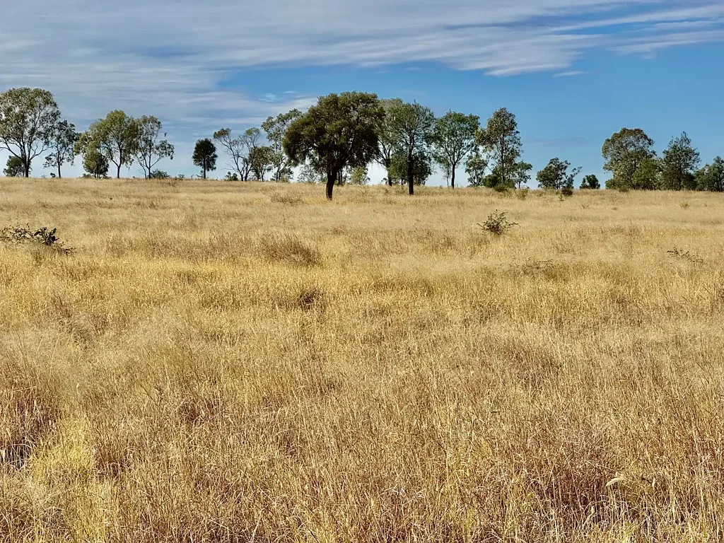 Roma Prime Grazing Land