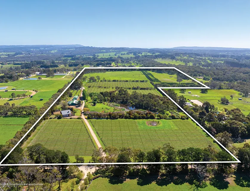 437 Stumpy Gully Road, Balnarring, VIC 3926, 4 phòng ngủ, 4 phòng tắm, Lifestyle Property