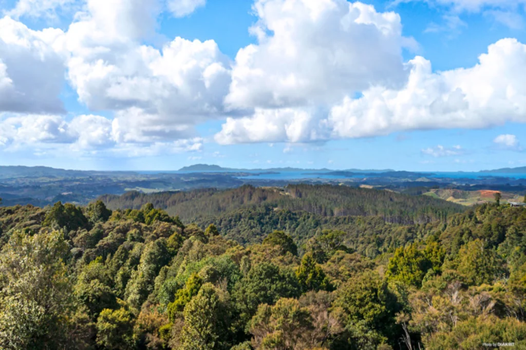452 Moir Hill Road, Warkworth, Rodney, Auckland